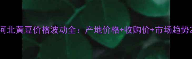 图片 河北黄豆价格波动全：产地价格+收购价+市场趋势2