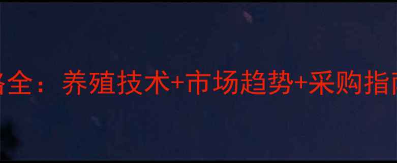 图片 河南兔保姆饲料价格全：养殖技术+市场趋势+采购指南（附最新报价表）