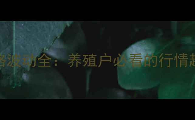 图片 河南土杂猪价格波动全：养殖户必看的行情趋势与应对策略