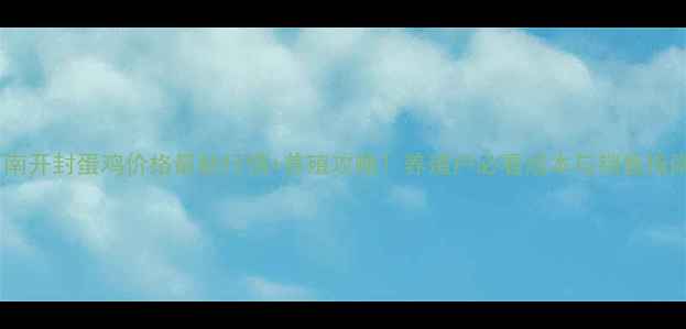 图片 河南开封蛋鸡价格最新行情+养殖攻略！养殖户必看成本与销售指南2