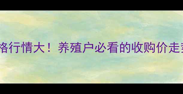图片 河南淘汰鸡价格行情大！养殖户必看的收购价走势与市场分析1