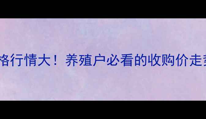 图片 河南淘汰鸡价格行情大！养殖户必看的收购价走势与市场分析2