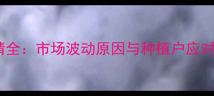 图片 河南许昌玉米价格行情全：市场波动原因与种植户应对策略（附最新数据）1