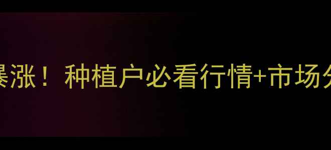 图片 河南豆柏价格暴涨！种植户必看行情+市场分析+高产技巧1