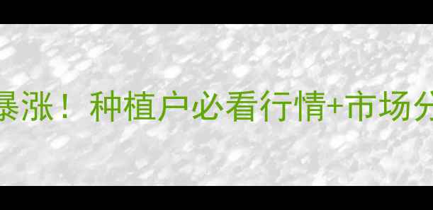 图片 河南豆柏价格暴涨！种植户必看行情+市场分析+高产技巧2