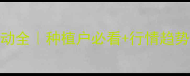 图片 油菜籽油价格波动全｜种植户必看+行情趋势+种植指南🌾💰2