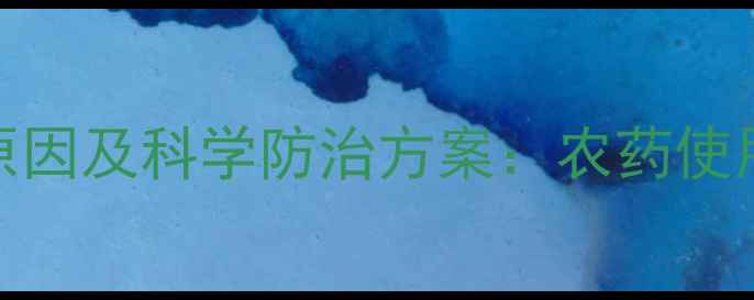 图片 油菜苗枯死常见原因及科学防治方案：农药使用不当如何避免？