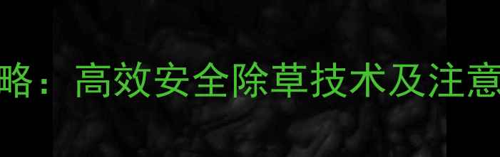 图片 波菜种植除草剂使用全攻略：高效安全除草技术及注意事项（附最新推荐产品）