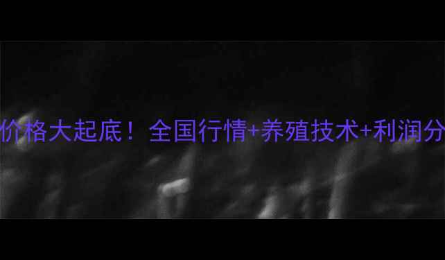 图片 泥鳅批发价格大起底！全国行情+养殖技术+利润分析🌟💰📈