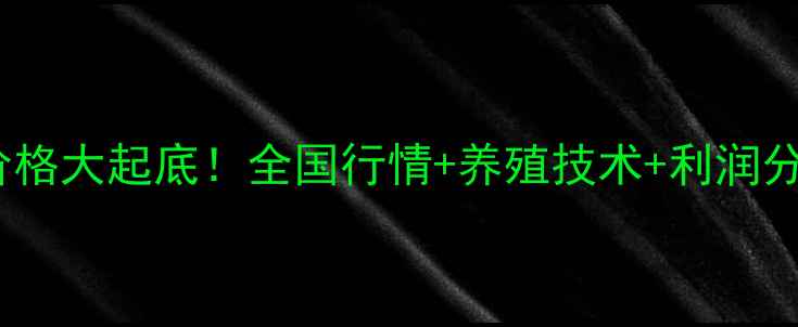 图片 泥鳅批发价格大起底！全国行情+养殖技术+利润分析🌟💰📈1