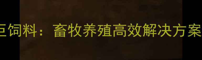 图片 济南天巨饲料：畜牧养殖高效解决方案供应商2