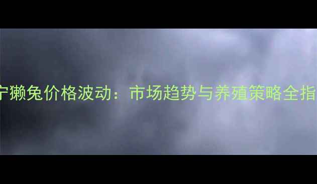 图片 济宁獭兔价格波动：市场趋势与养殖策略全指南1