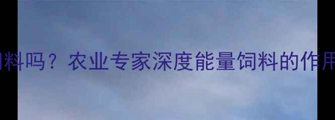 图片 淀粉是能量饲料吗？农业专家深度能量饲料的作用与应用指南1