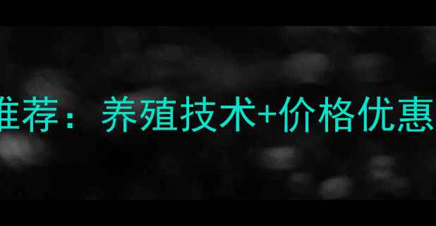 图片 淮北优质饲料厂家推荐：养殖技术+价格优惠全（附选厂指南）1