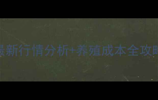图片 淮安苗猪价格最新行情分析+养殖成本全攻略！新手必看！