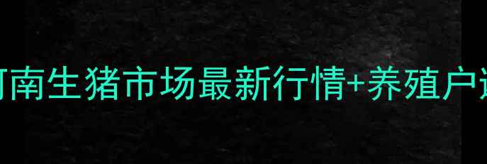 图片 清丰猪价波动预警！9月河南生猪市场最新行情+养殖户避坑指南（附详细数据）1