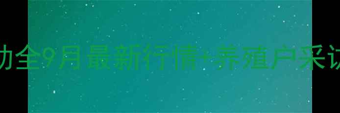 图片 渭南鸡蛋价格波动全9月最新行情+养殖户采访+未来趋势预测2