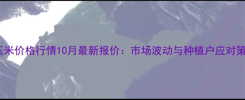 图片 湖北玉米价格行情10月最新报价：市场波动与种植户应对策略全2