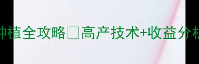 图片 湖南丹农番薯种植全攻略🔥高产技术+收益分析｜新手必看！