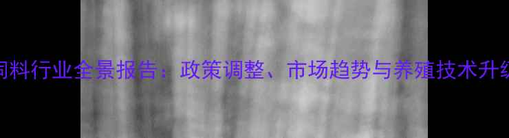 图片 湖南饲料行业全景报告：政策调整、市场趋势与养殖技术升级指南