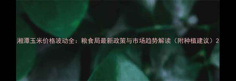 图片 湘潭玉米价格波动全：粮食局最新政策与市场趋势解读（附种植建议）2