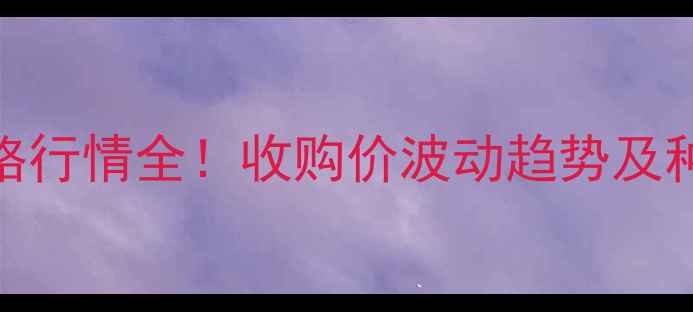 图片 滦南县玉米价格行情全！收购价波动趋势及种植户应对策略