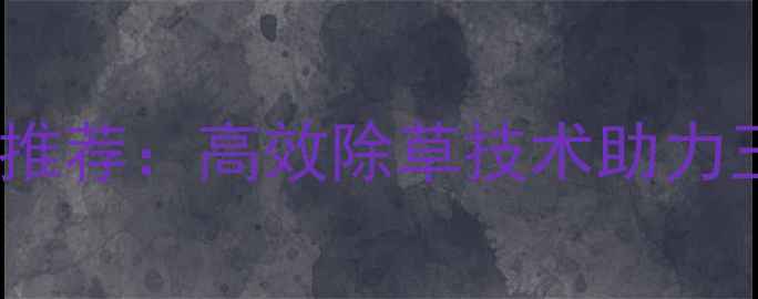 图片 滨农玉星除草剂最新推荐：高效除草技术助力玉米种植户增产增收1