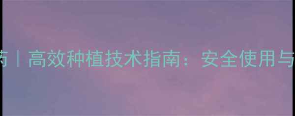 图片 滨海化工农药｜高效种植技术指南：安全使用与效果对比全2