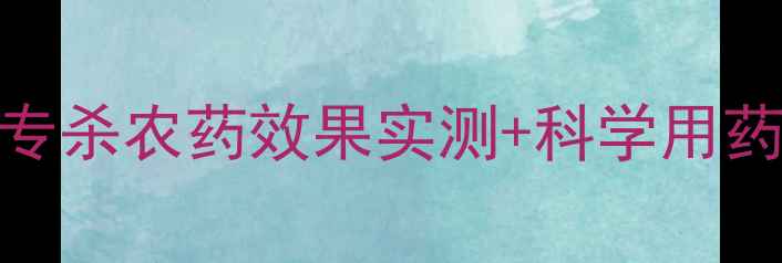 图片 潜叶蛾防治终极指南：5款专杀农药效果实测+科学用药方案（附安全操作视频）1