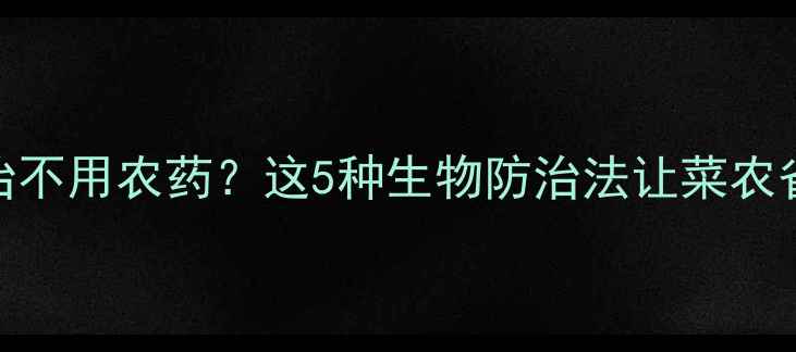 图片 潜叶蝇防治不用农药？这5种生物防治法让菜农省心又省钱