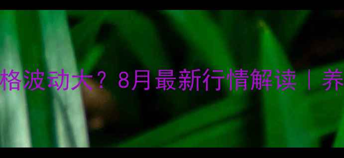 图片 烟台肥猪价格波动大？8月最新行情解读｜养殖户必看！