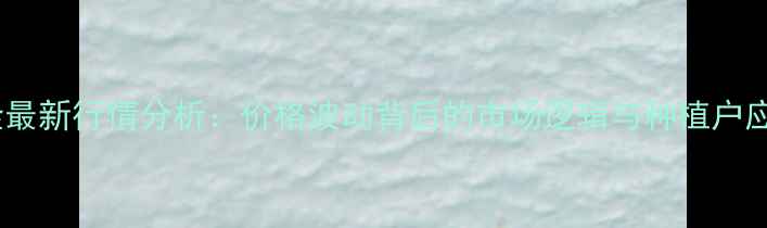 图片 烟嘧磺隆最新行情分析：价格波动背后的市场逻辑与种植户应对策略2