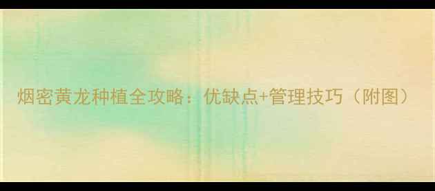 图片 烟密黄龙种植全攻略：优缺点+管理技巧（附图）