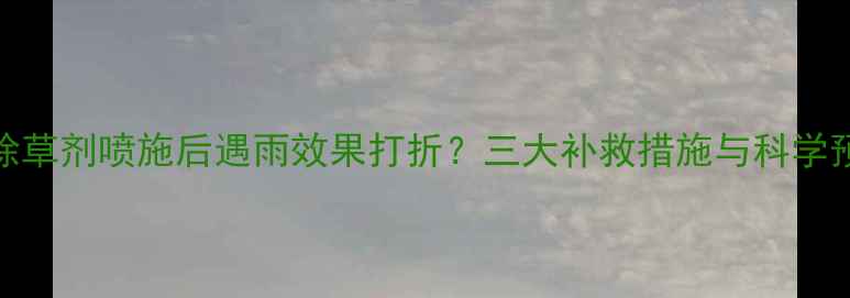 图片 烯禾啶除草剂喷施后遇雨效果打折？三大补救措施与科学预防指南