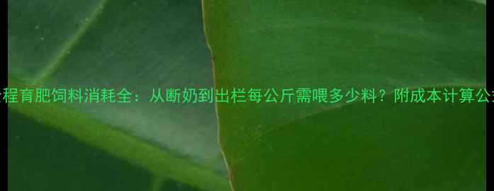 图片 猪全程育肥饲料消耗全：从断奶到出栏每公斤需喂多少料？附成本计算公式！