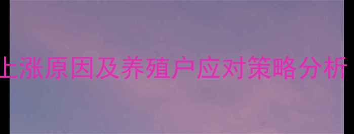 图片 猪饲料价格持续上涨原因及养殖户应对策略分析（附最新数据）1