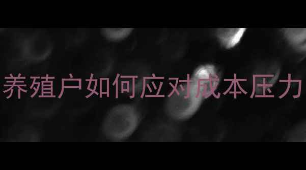 图片 猪饲料价格暴涨！养殖户如何应对成本压力？附最新行情分析