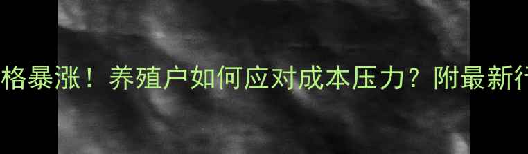 图片 猪饲料价格暴涨！养殖户如何应对成本压力？附最新行情分析1