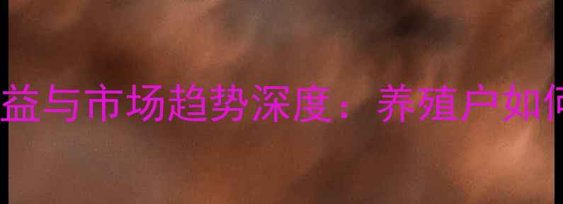 图片 猪饲料行业成本收益与市场趋势深度：养殖户如何实现利润最大化1