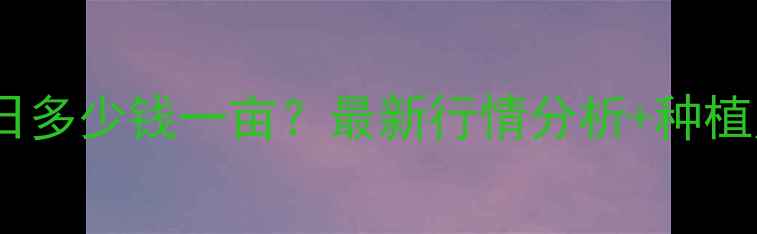 图片 玉田玉米价格今日多少钱一亩？最新行情分析+种植户避坑指南🌾📊2