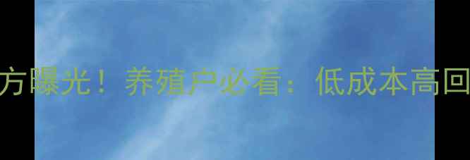 图片 玉米+鱼饲料配方曝光！养殖户必看：低成本高回报的混养秘籍2