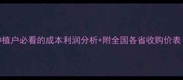 图片 玉米价格最新行情！种植户必看的成本利润分析+附全国各省收购价表（含深加工补贴政策）