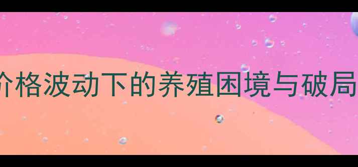 图片 玉米价格波动下的养殖困境与破局之道2