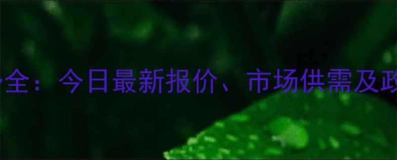 图片 玉米价格走势全：今日最新报价、市场供需及政策影响预测1