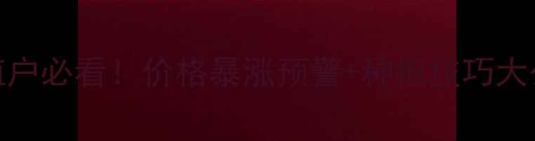 图片 玉米价格走势全🌾种植户必看！价格暴涨预警+种植技巧大公开（附最新行情表）