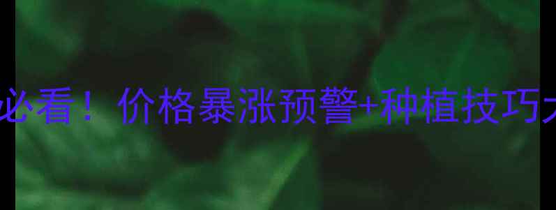 图片 玉米价格走势全🌾种植户必看！价格暴涨预警+种植技巧大公开（附最新行情表）2