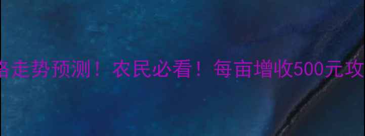 图片 玉米价格走势预测！农民必看！每亩增收500元攻略🌾💰1