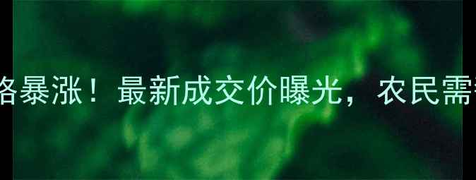 图片 玉米拍卖第五批价格暴涨！最新成交价曝光，农民需警惕未来市场波动1