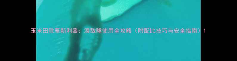 图片 玉米田除草新利器：溴敌隆使用全攻略（附配比技巧与安全指南）1