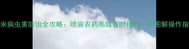 图片 玉米病虫害防治全攻略：喷施农药高效省时技巧，附图解操作指南